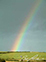 RainbowNearDoolin5701