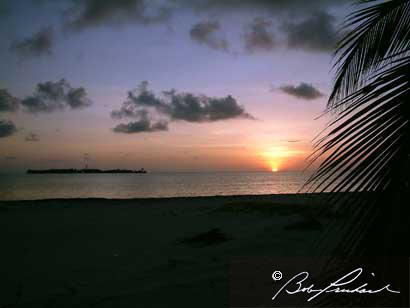 Belize: Sandbore Caye At Sunrise