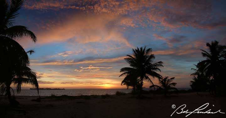 Belize Palms At Sunriseß