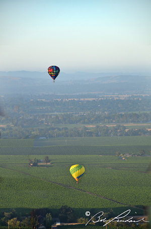 4624 Two Balloons Over Sonoma County