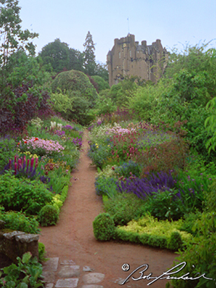 Crathes Castle Garden Crop