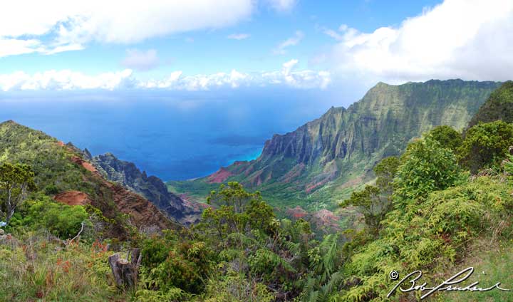 Kauai Hawaii: A View Down Kalalau Valley Panoramic