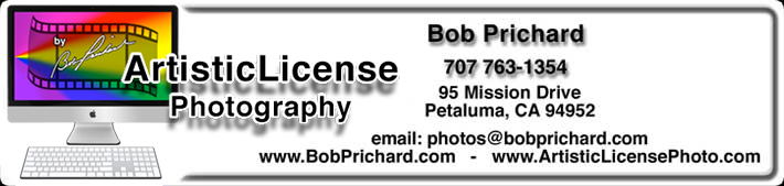 Contact Info for Bob Prichard